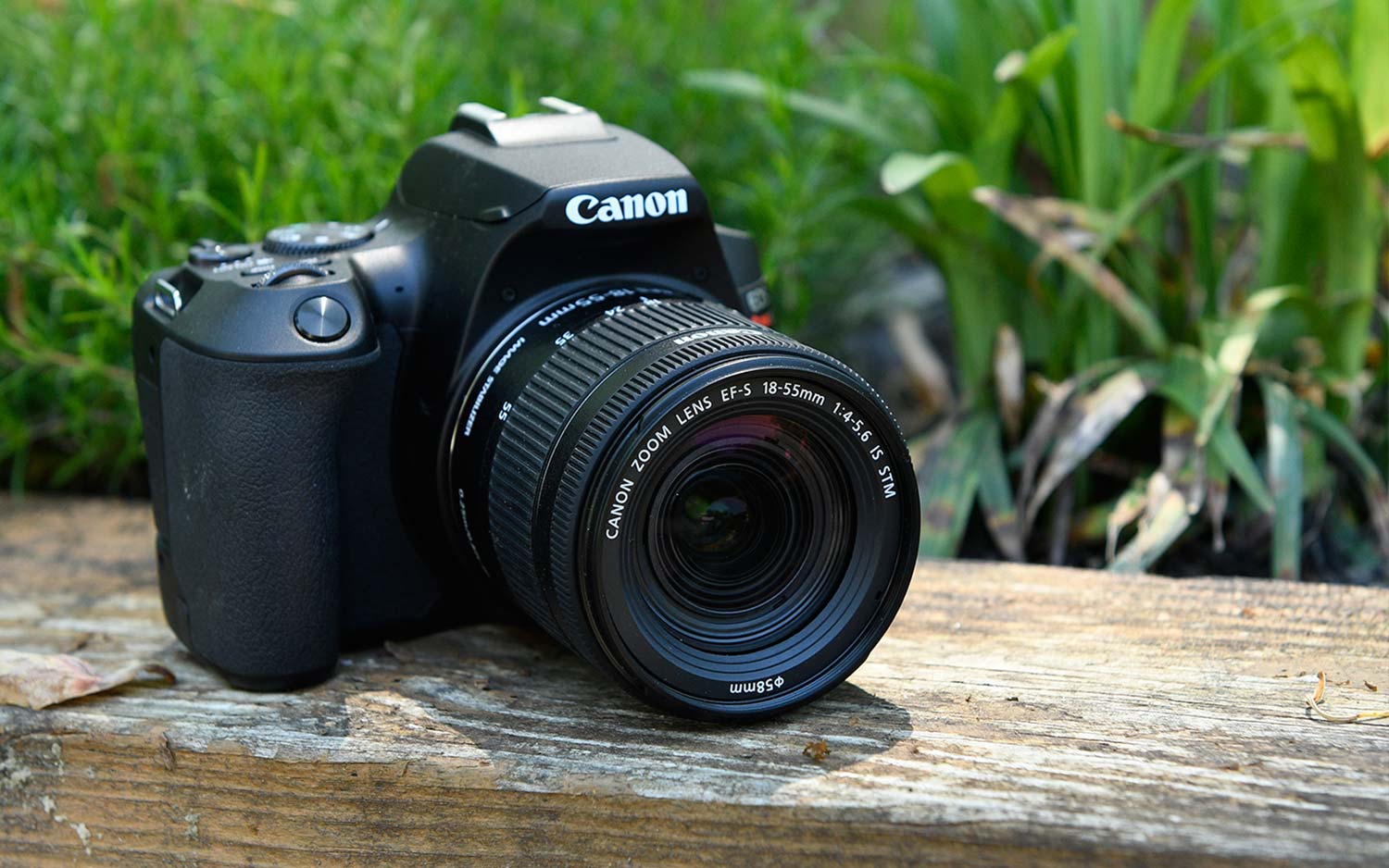بهترین دوربین DSLR: برای عکاسی و فیلم برداری از مبتدی تا نیمه حرفه ای ...